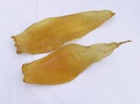 Dried fish bladder (maw)