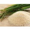 White Rice /Round Grain Rice /Short Rice /Sushi Rice