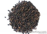 Viet nam black pepper