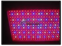 Dimmable LED Grow Lights/LED plant grow lights/LED grow panel