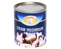 Canned Straw Mushroom