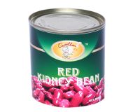 https://www.tradekey.com/product_view/Canned-Red-Kidney-Beans-1528069.html