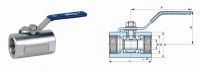 Canton type ball valve