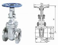 gate valve