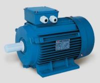 Sell electric motor ( Y2 SERIES THREE-PHASE ASYNCHRONOUS MOTORS)