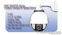 Outdoor Infrared WDR IP Speed Dome Camera