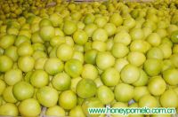 honey pomelo