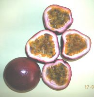 purple passion fruits from Vietnam