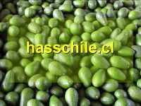 https://www.tradekey.com/product_view/Avocados-Hass-1027613.html