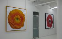 Art and Picture Hanging Systems!