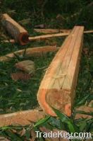 TEAK Boards and Lumber ECUADOR