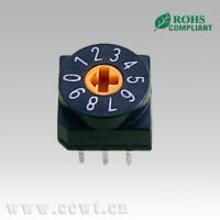 10 position rotary type DIP switch