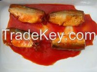 CANNED MACKEREL IN TOMATO SAUCE  155GX50