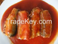 CANNED SARDINE IN TOMATO SAUCE  155GX50
