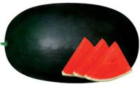 watermelon seed-FST 9700
