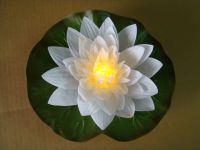 LED FLOWER WITH 7 COLORS