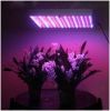 https://ar.tradekey.com/product_view/13w-Led-Grow-Light-1032715.html