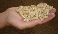 wood pellets