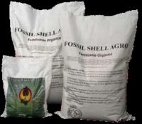 Fossil Shell Agro