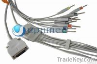 one-piece 10-Lead EKG cable with leadwires