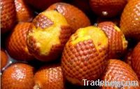 Buriti / Aguaje -  Oil or Raw Powder fruit