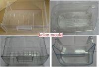 Plastic Mould for Refrigerator