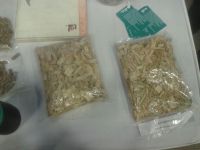KPR 1010 biofuel