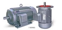 Y Series Three-Phase Asynchronous Induction Motor