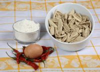 various type italian noodles