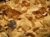 Dustless Pine Shavings for Livestock or Horses