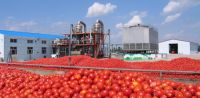 tomato paste production line