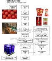 Tomato paste processing line