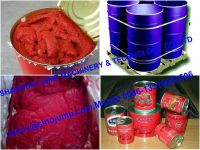 Xinjiang Aseptic Package Tomato Paste Concentrate Brix 28-30% Hot Break