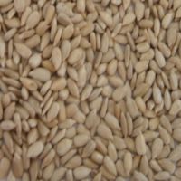 bakery grade sunflower kernels