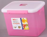 storage  box