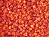 dried sea buckthorn