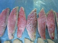 Frozen Tuna, Mahi, Marlin, Swordfish, Parrotfish, Grouper, Emperor, Red Snapper Blue Shark