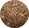 Export Robusta Coffee Beans | Robusta Coffee Bean Importer | Robusta Coffee Beans Buyer | Buy Robusta Coffee Beans | Robusta Coffee Bean Wholesaler | Robusta Coffee Bean Manufacturer | Best Robusta Coffee Bean Exporter | Low Price Robusta Coffee Beans | B