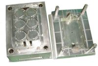 Plastic Injected Mould