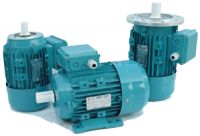 MS Series Three-Phase Asynchronous Motors