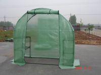 Green House, greenhouse, big green house, walk-in green house, plant grown