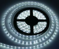 LED Strip (CA-S002A)