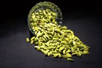 Indian Green Cardamom(Elaichi) Exclusive supplier