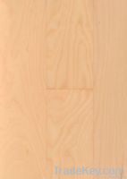 Maple Engineered wood flooring