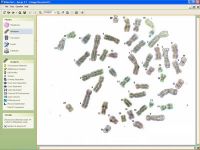 Image analysis software VideoTesT for karyotyping