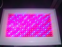 https://jp.tradekey.com/product_view/300w-Led-Grow-Light-other-Watts-Available--1073183.html