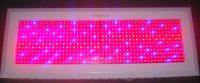 600W Led grow light (other watts available)
