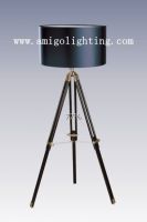 2012 Modern wood Floor Lamp F011