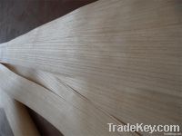 paulownia woods veneer