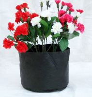 10gallon flower container